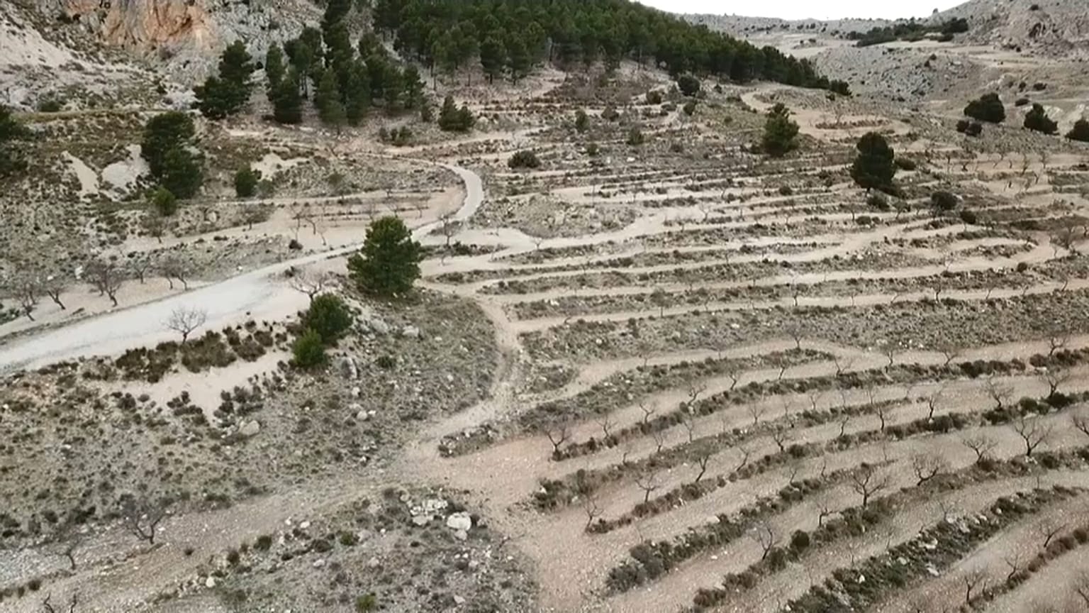 COP 25: Η απερήμωση της Ισπανίας