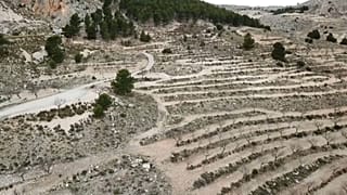 Spanish farmers work with private enterprise to combat desertification