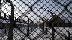 Auschwitz Kampı