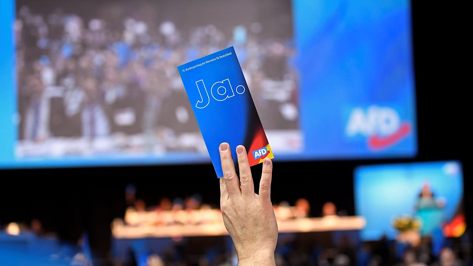 Cambio generazionale per AfD, ultradestra  che più a destra non si può