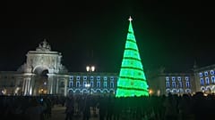 Ecco gli alberi di natale di tutto il mondo