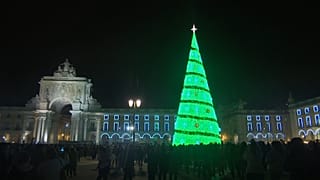 Jön az Advent, világszerte felállítják a karácsonyfákat