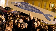 "Сардины" против Сальвини