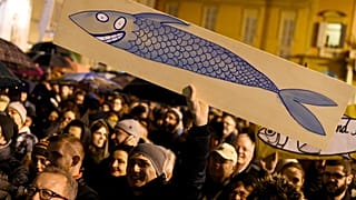 "Сардины" против Сальвини