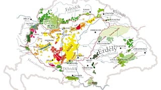 A Kárpát-medence borai Budapesten