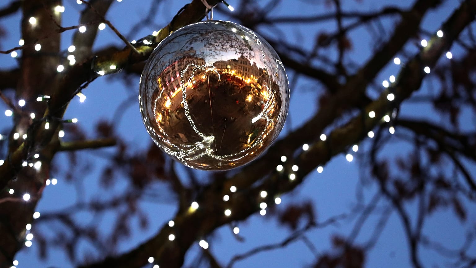La leyenda del árbol de Navidad: De los ritos paganos a la religión cristiana