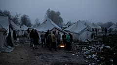 Le camp de Vucjak : une urgence humanitaire aux portes de l'Union européenne 