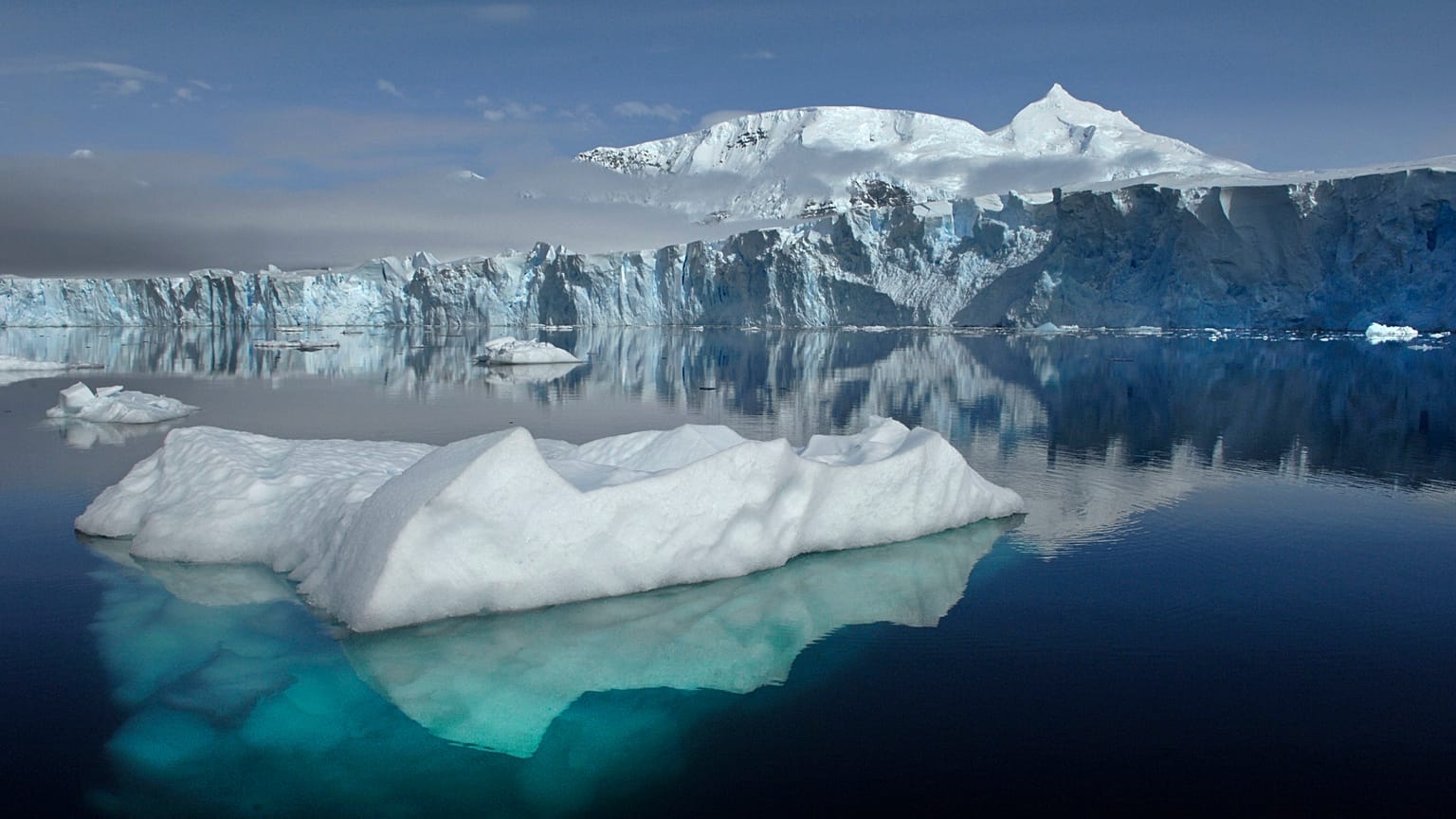 Dünya Meteoroloji Örgütü iklim raporu: 2010'lar tarihin en sıcak yılları oldu