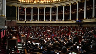 Antisionisme-antisémitisme : polémique autour d'une proposition de résolution de la majorité