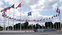 NATO üyesi ülkelerin bayrakları
