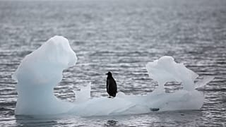 WATCH | Tackling climate change in 60 seconds or less