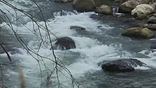 Отравленная вода Базеля