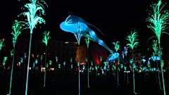 2019 Festival of Lights in Lyon, France 