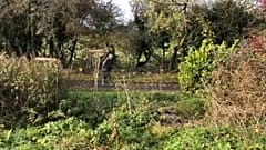 Ireland's farmers' fears over climate plans 