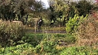 Ireland's farmers' fears over climate plans 