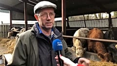 Ирландия - зелёная, буквально и политически