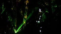 Bis 8. Dezember: Fête des Lumières bringt Lyon zum Strahlen