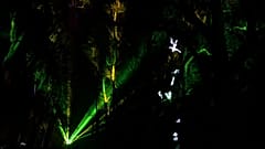 Lichterfest in Lyon: Tradition geht aufs 19. Jahrhundert zurück