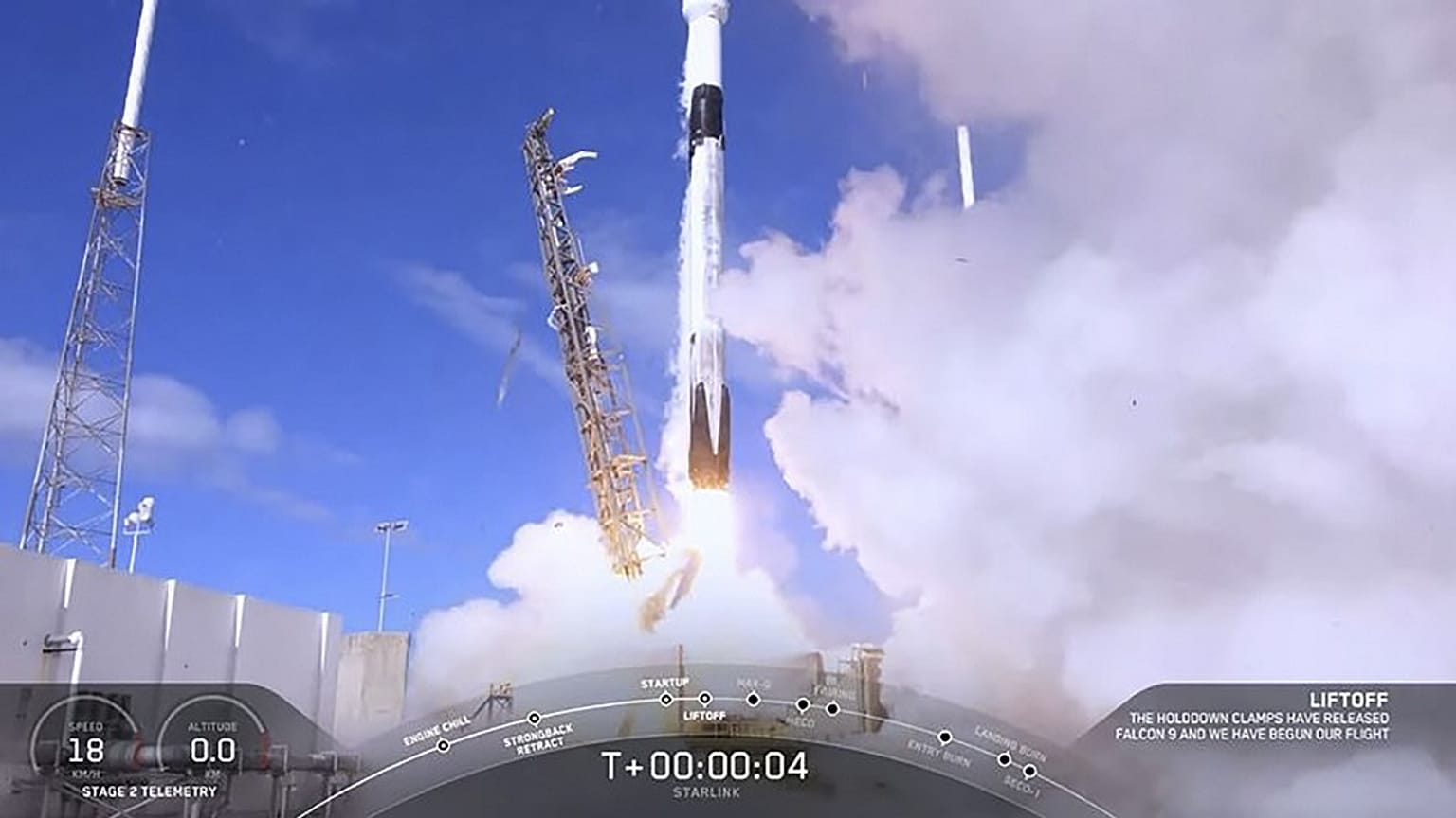 SpaceX'ten Uluslararası Uzay İstasyonuna 'süper fare'li kargo