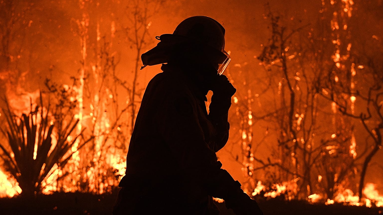 Les pompiers d'Australie vaincus par un énorme brasier, né de huit incendies  