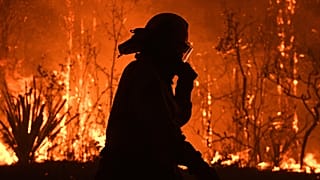 Les pompiers d'Australie vaincus par un énorme brasier, né de huit incendies