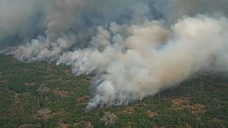 Brasil reclama más ayuda en la lucha contra la deforestación en la COP25