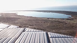 Los acuíferos cada vez más salinos amenazan 'la huerta de Europa'