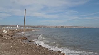 En Andalousie, la salinité accrue des eaux souterraines inquiète les agriculteurs