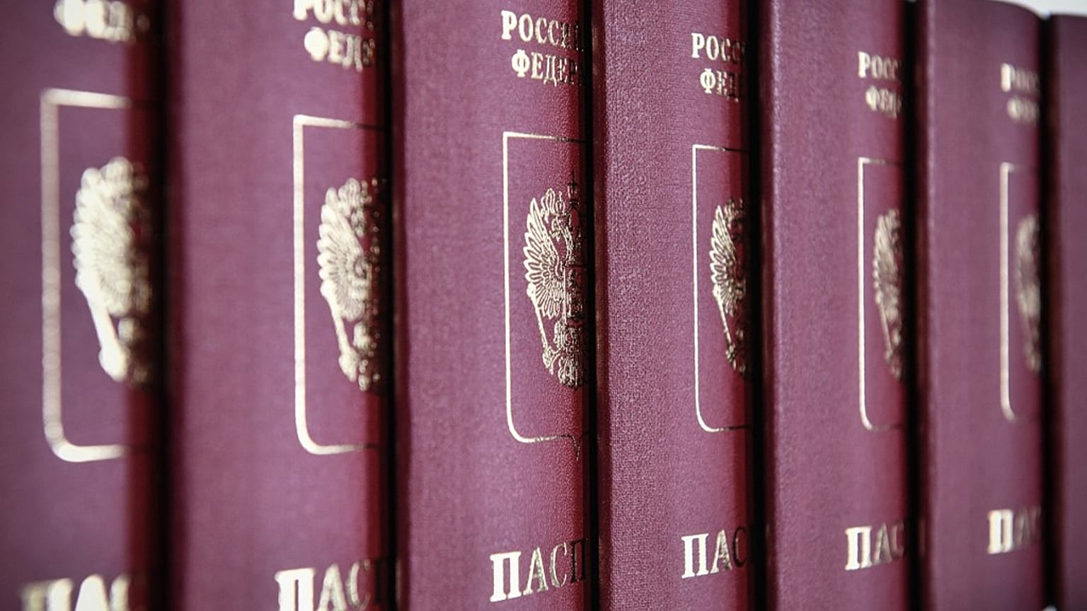 Rus pasaportu