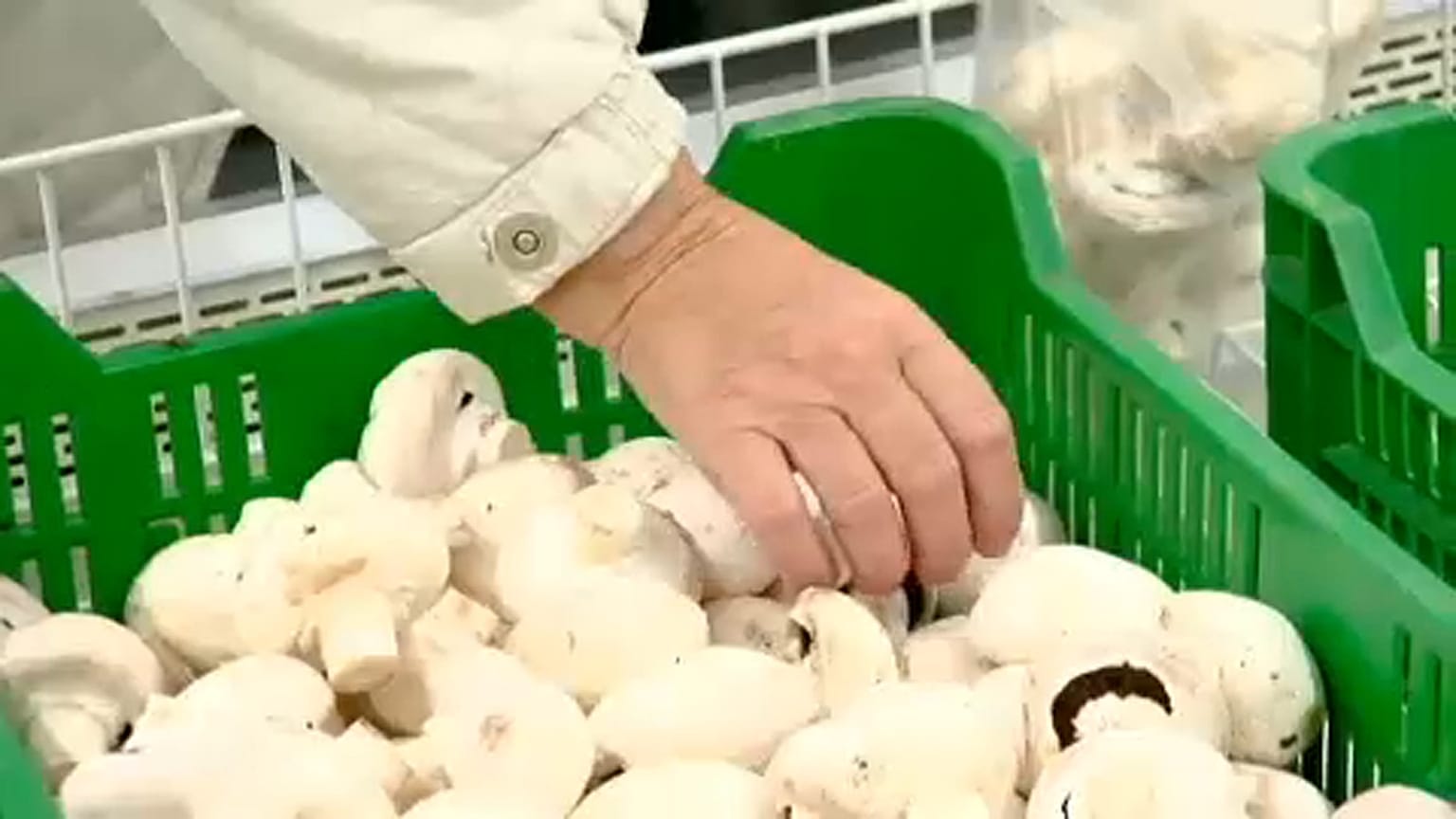 Jelentős drágulást hozott a november