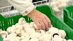 Jelentős drágulást hozott a november