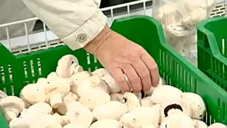 Jelentős drágulást hozott a november