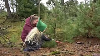 Ingyen karácsonyfa a gyíkok és tücskök védelmében