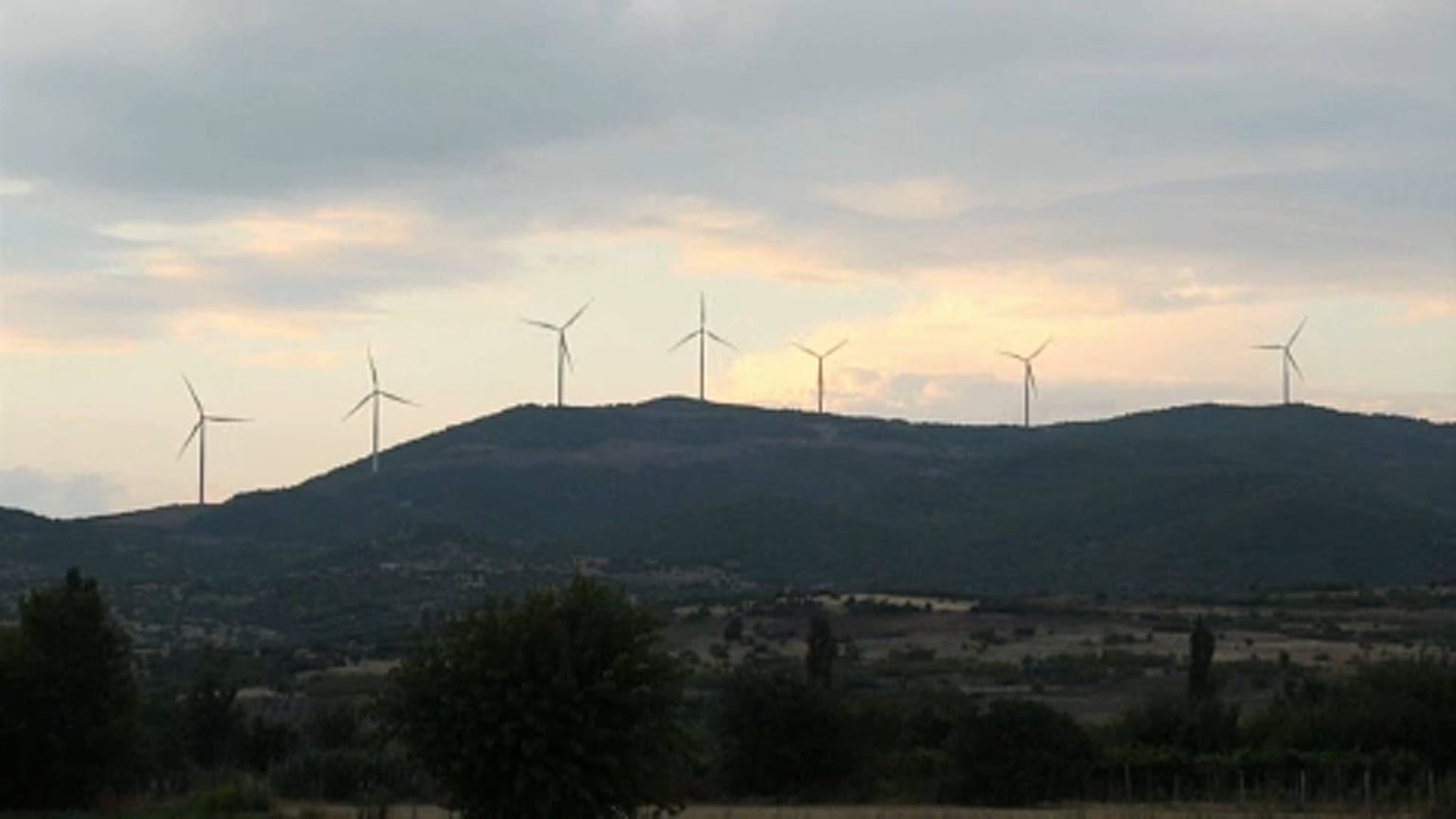 100 Milliarden fürs Klima: EU will grünen Umweltpakt vorlegen