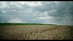 Почва Венгрии теряет плодородие