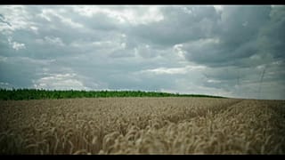 Почва Венгрии теряет плодородие
