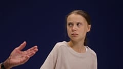 Президент Бразилии назвал Грету Тунберг "соплячкой"