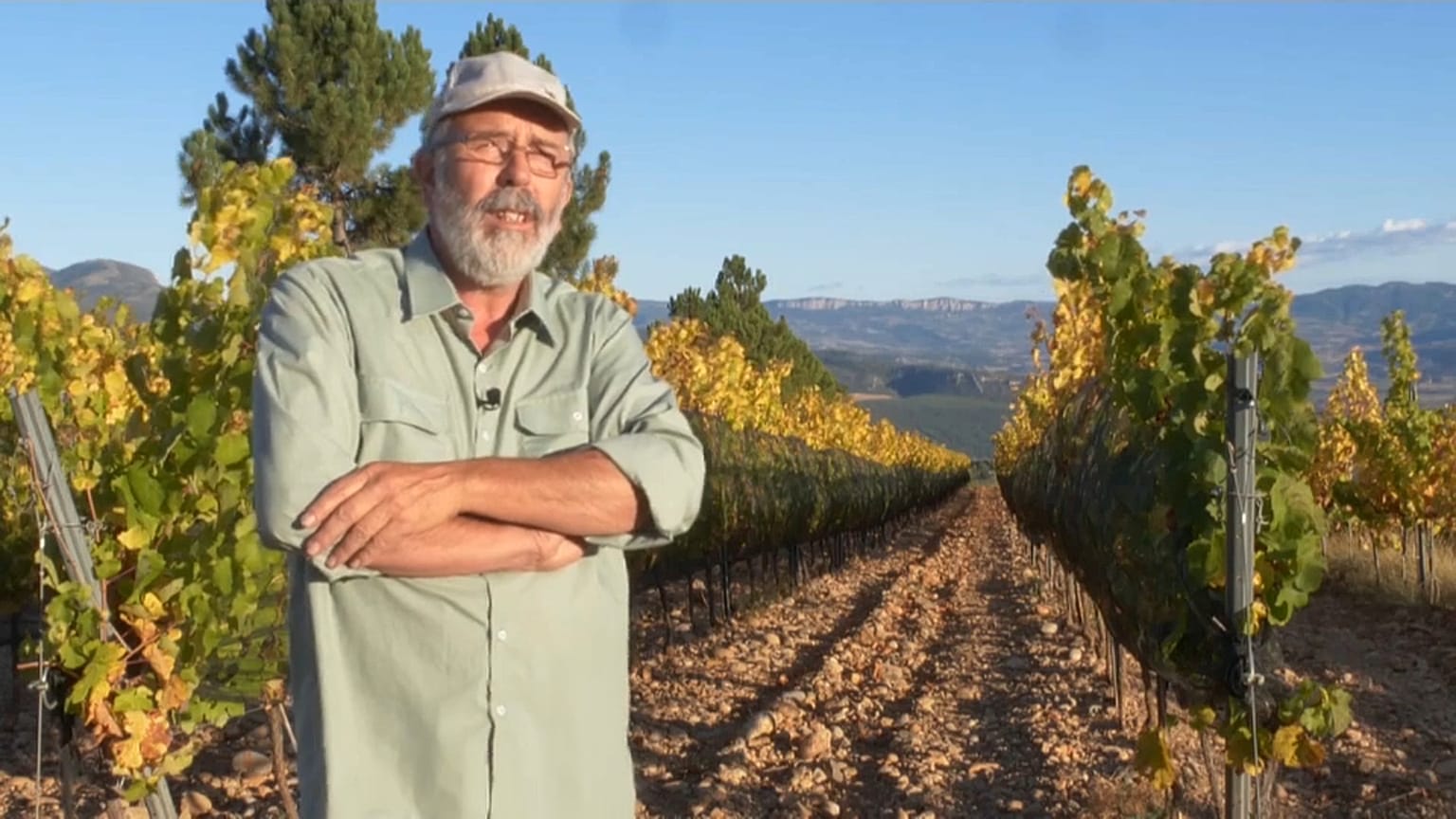 Why are wine producers in Spain moving their vineyards uphill?