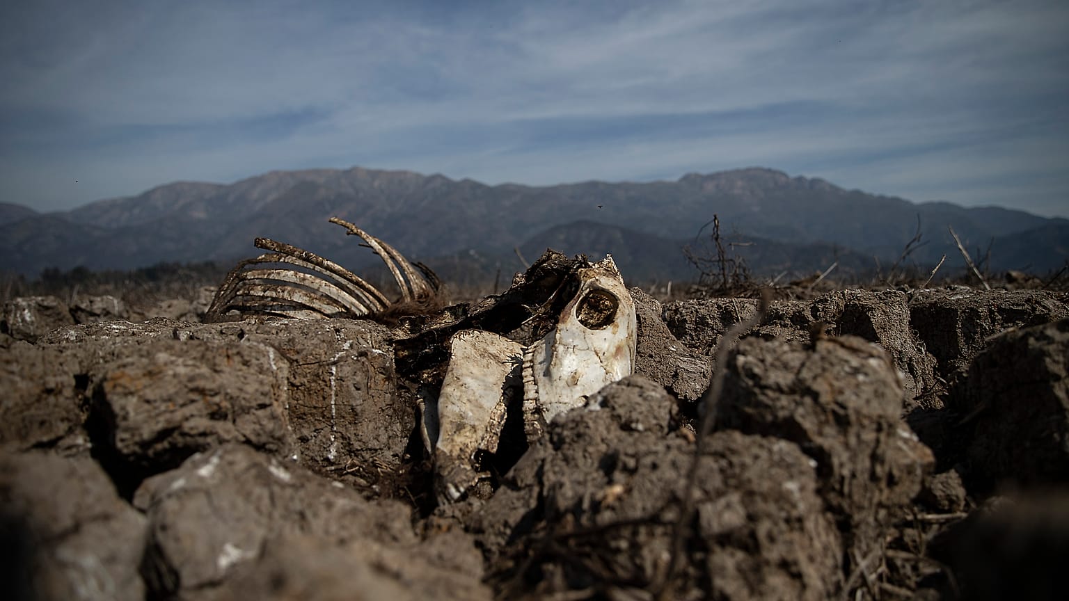 Chile: sequía histórica y funesta en un país con el agua privatizada