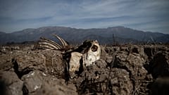 Chile: sequía histórica y funesta en un país con el agua privatizada