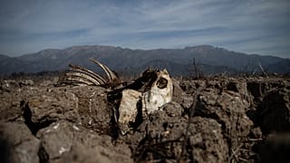 Chile: sequía histórica y funesta en un país con el agua privatizada