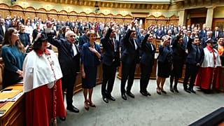 Faute de soutien, les Verts ne parviennent pas à entrer au gouvernement suisse