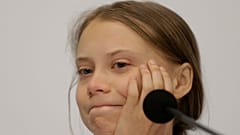 Greta Thunberg, nascita di un'icona. L'attivista svedese domani per la prima volta in Italia