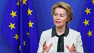 Dudas ante el Green Deal europeo