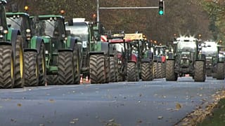 Lucros dos agricultores alemães em queda