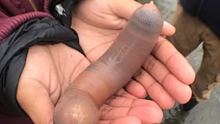 Ein Igelwurm an einem Strand in Californien - die Tiere gelten in Korea als Delikatesse