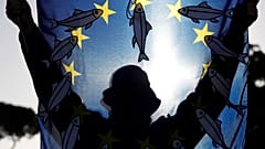 Sardinen gegen Salvini: 10 Fotos und Tweets