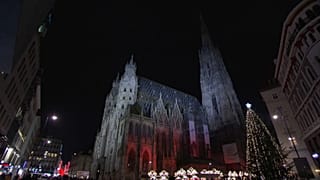 Чеченцев подозревают в подготовке теракта в Вене