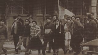 ....als die Leute von Temeswar "Freiheit!" sangen (1989)
