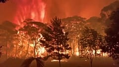 Австралия: Голубые горы охвачены огнем 